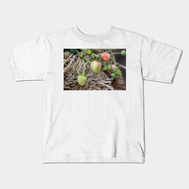 Ripening Strawberries Photograph Kids T-Shirt by ButterflyInTheAttic